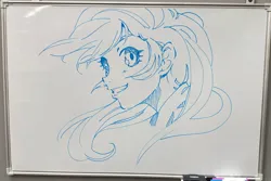 Size: 2048x1366 | Tagged: safe, artist:bonoramo, derpibooru import, rainbow dash, human, equestria girls, g4, bust, female, grin, image, jpeg, looking at you, monochrome, pen drawing, smiling, smiling at you, solo, traditional art, whiteboard