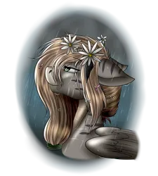 Size: 2160x2400 | Tagged: safe, artist:crazyaniknowit, derpibooru import, oc, oc:spring rain, zebra, zebrasus, bust, female, flower, flower in hair, image, png, portrait, solo