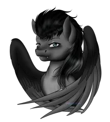 Size: 2214x2472 | Tagged: safe, artist:crazyaniknowit, derpibooru import, oc, oc:traveler, pegasus, pony, bust, fangs, female, image, mare, png, portrait, simple background, solo, transparent background