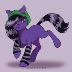 Size: 2000x2000 | Tagged: safe, artist:unichromacorn, derpibooru import, oc, earth pony, pony, arm warmers, clothes, coontails, earth pony oc, female, full body, hat, image, jpeg, mare, mare oc, purple coat, raised hoof, raised hooves, solo, striped arm warmers, striped hair, striped tail, tail