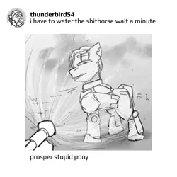 Size: 2500x2500 | Tagged: safe, artist:captainhoers, derpibooru import, oc, oc:atom smasher, oc:rainbow code, pegasus, pony, the sunjackers, female, grayscale, hose, image, jpeg, looking at you, male, mare, meme, monochrome, narrowed eyes, offscreen character, ponified meme, stallion, text, water