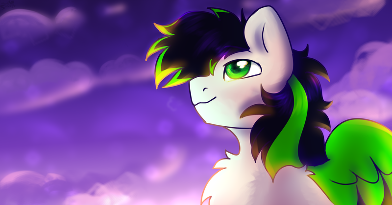 Size: 4200x2200 | Tagged: safe, derpibooru import, oc, unofficial characters only, pegasus, pony, bust, image, male, oc pegasus, png, portrait, stallion, sunset