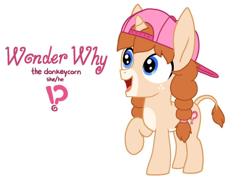 Size: 1754x1363 | Tagged: safe, artist:fillyfool, derpibooru import, oc, oc:wonder why, unofficial characters only, donkey, hybrid, pony, unicorn, androgynous, backwards ballcap, baseball cap, cap, cutie mark, donkey ears, donkey oc, exclamation point, facial markings, foal, freckles, hat, horn, hybrid oc, image, interrobang, mealy mouth (coat marking), pale muzzle, png, question mark, reference sheet, simple background, solo, tomboy, transparent background, unicorn oc