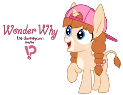 Size: 1754x1363 | Tagged: safe, artist:fillyfool, derpibooru import, oc, oc:wonder why, unofficial characters only, donkey, hybrid, pony, unicorn, androgynous, backwards ballcap, baseball cap, cap, cutie mark, donkey ears, donkey oc, exclamation point, facial markings, foal, freckles, hat, horn, hybrid oc, image, interrobang, mealy mouth (coat marking), pale muzzle, png, question mark, reference sheet, simple background, solo, tomboy, transparent background, unicorn oc