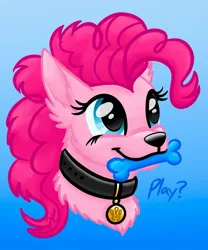 Size: 1605x1933 | Tagged: safe, artist:tygerthezebra, derpibooru import, pinkie pie, dog, earth pony, pony, g4, behaving like a dog, bust, collar, dog toy, dogified, female, gradient background, image, jpeg, mare, mouth hold, pet tag, portrait, smiling, solo, species swap