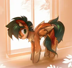 Size: 2600x2440 | Tagged: safe, artist:mirroredsea, derpibooru import, oc, unofficial characters only, pegasus, pony, arched back, chest fluff, coat markings, hock fluff, image, jpeg, socks (coat marking), solo