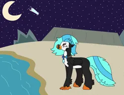 Size: 2491x1924 | Tagged: safe, artist:supahdonarudo, derpibooru import, oc, oc:icebeak, unofficial characters only, classical hippogriff, hippogriff, beach, image, jewelry, looking up, moon, necklace, night, ocean, png, sad, shooting star, stars, water