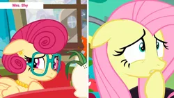 Size: 1192x670 | Tagged: episode needed, safe, derpibooru import, edit, edited screencap, screencap, fluttershy, posey shy, pegasus, pony, g4, duo, duo female, female, image, jpeg, like mother like daughter, like parent like child, mother and child, mother and daughter