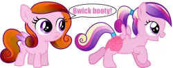 Size: 7704x3066 | Tagged: safe, artist:theshadowstone, artist:vector-brony, derpibooru import, edit, princess cadance, pegasus, pony, brick booty, female, filly, foal, forced meme, image, meme, pegasus cadance, png, simple background, speech bubble, white background