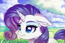 Size: 6000x4000 | Tagged: safe, artist:stesha_art, derpibooru import, rarity, pony, unicorn, g4, absurd resolution, cheek fluff, cloud, ear fluff, eyeshadow, female, floppy ears, grass, horn, image, makeup, mare, outdoors, png, sky, solo, tail