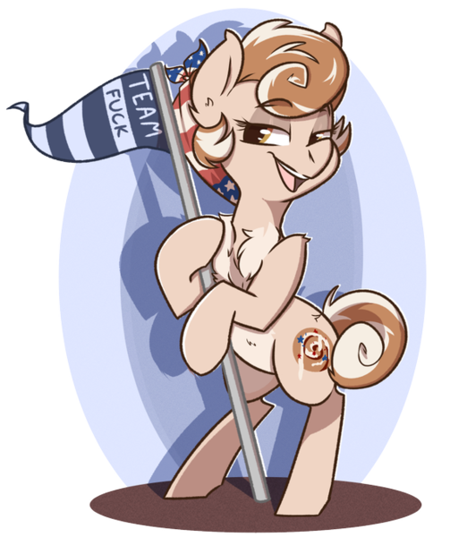 Size: 570x680 | Tagged: safe, artist:modularpon, derpibooru import, oc, oc:cinnamon spangled, pony, abstract background, banner, bipedal, chest fluff, female, flag, image, lidded eyes, mare, png, solo, standing, vulgar