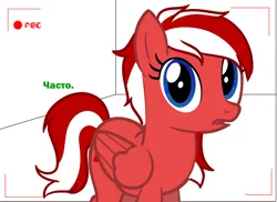 Size: 1300x945 | Tagged: safe, artist:ponyalia, derpibooru import, ponified, pony, image, latvia, nation ponies, png, solo