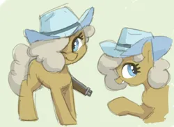 Size: 968x710 | Tagged: safe, artist:plunger, derpibooru import, oc, oc:the mare with no name, unofficial characters only, earth pony, pony, female, gun, hat, image, one eye closed, png, simple background, solo, weapon, white background, wink