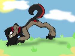 Size: 2048x1536 | Tagged: safe, artist:revenge.cats, derpibooru import, ponified, dog, dog pony, earth pony, hybrid, pony, bent over, bert mccracken, cloud, cloudy, emo, grass, hooves, image, looking back, paws, png, smiling, spots, sun, the used