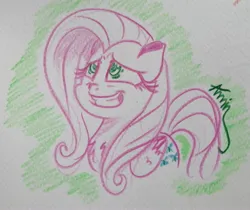 Size: 3157x2654 | Tagged: safe, artist:c.a.m.e.l.l.i.a, derpibooru import, fluttershy, g4, green background, high res, image, jpeg, scared, simple background, smiling, traditional art