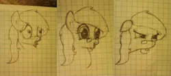 Size: 1437x640 | Tagged: safe, artist:zombietator, derpibooru import, oc, oc:claire, unofficial characters only, earth pony, pony, angry, bust, earth pony oc, expressions, female, glasses, image, mare, png, smiling, traditional art, wide eyes