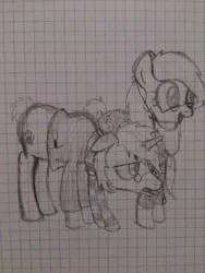 Size: 750x1000 | Tagged: safe, artist:zombietator, derpibooru import, oc, oc:claire, unofficial characters only, pony, clothes, duo, female, glasses, graph paper, harry potter (series), image, jpeg, lineart, male, mare, scarf, smiling, stallion, tired, traditional art