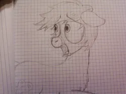 Size: 640x480 | Tagged: safe, artist:zombietator, derpibooru import, oc, oc:claire, unofficial characters only, earth pony, pony, earth pony oc, graph paper, image, jpeg, lineart, looking back, male, open mouth, scared, solo, stallion, traditional art