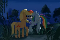 Size: 3932x2612 | Tagged: safe, artist:misspolycysticovary, derpibooru import, applejack, rainbow dash, earth pony, pegasus, pony, g4, appledash, bedroom eyes, blushing, boop, cattails, dark, duo, female, high res, image, jpeg, lesbian, mare, night, noseboop, reeds, shipping