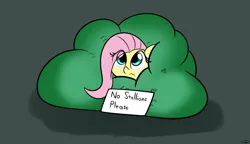 Size: 2756x1590 | Tagged: safe, artist:taurson, derpibooru import, fluttershy, pegasus, pony, g4, bush, crying, cute, eye clipping through hair, female, hiding, high res, image, implied lesbian, mare, png, scared, shaking, shyabetes, sign, simple background, sitting, solo, teary eyes, trembling, wavy mouth