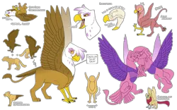 Size: 4000x2500 | Tagged: safe, artist:jackiebloom, derpibooru import, fluttershy, gilda, oc, oc:felix genimen, gryphon, hippogriff, hybrid, pegasus, pony, g4, anatomy, beak, blushing, eyes closed, female, gildashy, image, interspecies offspring, lesbian, looking at you, magical lesbian spawn, offspring, open mouth, parent:fluttershy, parent:gilda, parents:gildashy, png, shipping, simple background, skull, text, toothed beak, transparent background, worldbuilding