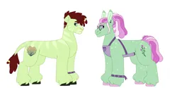 Size: 1280x640 | Tagged: safe, artist:itstechtock, derpibooru import, oc, oc:herbal remedy, oc:seagrass, earth pony, pony, apron, clothes, female, glasses, image, jpeg, male, mare, offspring, parent:tree hugger, parent:unknown, simple background, sperm donation, stallion, white background