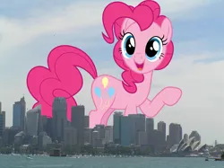 Size: 1604x1200 | Tagged: safe, artist:dashiesparkle, artist:thegiantponyfan, derpibooru import, pinkie pie, earth pony, pony, g4, australia, female, giant pinkie pie, giant pony, giant/macro earth pony, giantess, highrise ponies, image, irl, macro, mare, mega giant, photo, png, ponies in real life, sydney