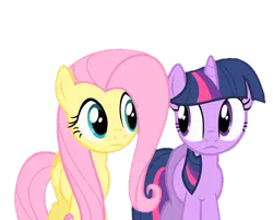 Size: 894x720 | Tagged: safe, derpibooru import, edit, edited screencap, screencap, fluttershy, twilight sparkle, pegasus, pony, unicorn, a bird in the hoof, g4, season 1, background removed, female, image, looking at each other, looking at someone, not a vector, png, simple background, transparent background, unicorn twilight