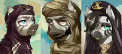 Size: 4680x2100 | Tagged: safe, artist:egil, derpibooru import, oc, unofficial characters only, pony, zebra, equestria at war mod, braid, bust, facial hair, female, headgear, image, male, mare, png, portrait, quadrupedal, stallion, tuareg, turban