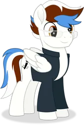 Size: 3335x4919 | Tagged: safe, artist:cirillaq, derpibooru import, oc, oc:soul beat, unofficial characters only, pegasus, pony, absurd resolution, clothes, folded wings, full body, glasses, hooves, image, male, multicolored mane, multicolored tail, pegasus oc, png, shadow, shirt, simple background, smiling, solo, stallion, standing, tail, three quarter view, transparent background, vector, wings