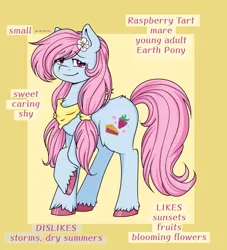 Size: 3456x3806 | Tagged: safe, artist:dreamy990, derpibooru import, oc, oc:raspberry tart, earth pony, pony, female, high res, image, mare, png, solo