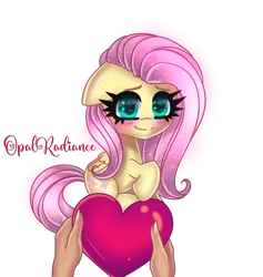 Size: 2160x2280 | Tagged: safe, artist:opal_radiance, derpibooru import, fluttershy, pegasus, pony, g4, cute, female, floppy ears, heart, high res, holiday, image, looking at you, love, mare, png, shyabetes, simple background, smiling, smiling at you, solo, transparent background, valentine, valentine's day