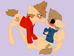 Size: 1024x768 | Tagged: safe, artist:scarecrowkitty, derpibooru import, ponified, earth pony, pegasus, pony, base used, black sclera, blushing, blushing profusely, boop, clothes, derpibooru exclusive, duo, duo male, eddsworld, floppy ears, gay, hoodie, image, imminent kissing, jpeg, looking at each other, looking at someone, male, noseboop, purple background, simple background, smiling, tom (eddsworld), tomtord, tord (eddsworld)