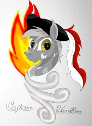 Size: 1275x1752 | Tagged: safe, artist:silbernepegasus, derpibooru import, oc, pegasus, pony, image, jpeg