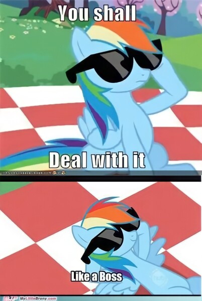 Size: 1000x1494 | Tagged: safe, derpibooru import, edit, edited screencap, screencap, rainbow dash, pegasus, pony, g4, lesson zero, season 2, artifact, caption, deal with it, female, hooves behind head, hub logo, image, image macro, impact font, jpeg, like a boss, logo, mare, meme, my little brony, needs more jpeg, picnic blanket, sunglasses, text, the hub, watermark