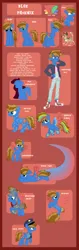 Size: 1280x4066 | Tagged: safe, artist:bittersweetcandy, artist:boringbases, artist:bronybase, artist:elementbases, artist:fantasia-bases, artist:lunchplate, artist:pure-blue-heart, artist:selenaede, artist:stryapastylebases, derpibooru import, flash magnus, oc, oc:blue phoenix, crystal pony, pegasus, seapony (g4), equestria girls, g4, base used, colored wings, freckles, grand galloping gala, image, jpeg, male, nightmare night, police officer, rainbow power, reference sheet, rule 63, speed trail, two toned mane, two toned wings, wings