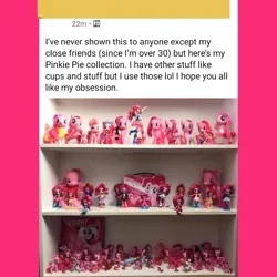 Size: 1080x1080 | Tagged: safe, derpibooru import, kotobukiya, pinkie pie, earth pony, human, pony, equestria girls, g4, animal costume, chicken pie, chicken suit, clothes, collection, costume, image, irl, kotobukiya pinkie pie, multeity, party cannon, photo, pink, pink mane, png, rubber chicken, screenshots, shelf, text, too much pink energy is dangerous, toy, woah