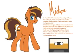 Size: 2500x1800 | Tagged: safe, artist:ponynamedmixtape, derpibooru import, oc, oc:mixtape, unofficial characters only, earth pony, pony, image, lore, male, png, reference sheet, simple background, solo, text, transparent background