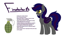 Size: 2900x1800 | Tagged: safe, artist:ponynamedmixtape, derpibooru import, oc, oc:firestarter, unofficial characters only, bat pony, pony, female, image, lore, png, reference sheet, simple background, solo, text, transparent background