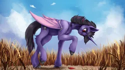 Size: 3840x2160 | Tagged: safe, artist:tenebrisnoctus, derpibooru import, oc, unofficial characters only, alicorn, bat pony, bat pony alicorn, pony, bat pony oc, bat wings, high res, horn, image, png, solo, wings