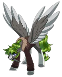 Size: 1920x2403 | Tagged: safe, artist:purplegrim40, derpibooru import, oc, unofficial characters only, pegasus, pony, clothes, colored hooves, colored wings, image, male, mouth hold, pegasus oc, png, simple background, solo, stallion, transparent background, two toned wings, wings