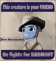 Size: 4210x4601 | Tagged: safe, artist:leotheunicorn, derpibooru import, earth pony, pony, equestria at war mod, derpibooru exclusive, grin, image, male, png, poster, poster parody, propaganda, slouch hat, smiling, solo, text, this is your friend