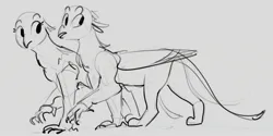 Size: 2356x1182 | Tagged: safe, artist:alumx, derpibooru import, oc, unofficial characters only, gryphon, duo, female, gray background, grayscale, griffon oc, image, jpeg, monochrome, simple background, sketch