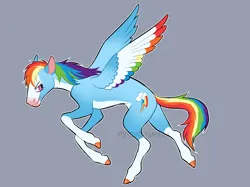 Size: 2724x2037 | Tagged: safe, artist:toshitoki, derpibooru import, rainbow dash, pegasus, pony, g4, alternate color palette, alternate design, coat markings, colored wings, concave belly, female, gray background, high res, image, looking back, mare, multicolored wings, obtrusive watermark, png, rainbow wings, redesign, signature, simple background, slender, smiling, smirk, socks (coat marking), solo, spread wings, tail, thin, twitterina design, watermark, wings