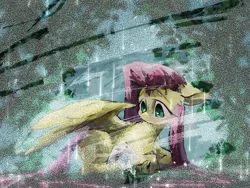 Size: 2160x1620 | Tagged: safe, alternate version, artist:lendftcn, derpibooru import, angel bunny, fluttershy, pegasus, pony, g4, duo, female, film grain, floppy ears, image, jpeg, lying down, mare, prone, rain, wing umbrella, wings