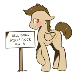 Size: 1280x1280 | Tagged: suggestive, artist:sinclair2013, derpibooru import, pegasus, pony, blushing, image, looking at you, male, nervous, nudity, png, sheath, sign, simple background, solo, solo male, stallion, transparent background, vulgar