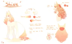 Size: 4268x2633 | Tagged: safe, artist:prettyshinegp, derpibooru import, oc, oc:pretty shine, unofficial characters only, pony, bust, female, flower, flower in hair, image, leonine tail, long legs, mare, png, reference sheet, simple background, solo, tail, tall, white background