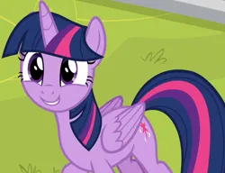 Size: 1114x855 | Tagged: safe, derpibooru import, screencap, twilight sparkle, twilight sparkle (alicorn), alicorn, pony, g4, horse play, season 8, spoiler:s08, adorkable, cropped, cute, dork, female, folded wings, image, mare, png, smiling, solo, twiabetes, wings