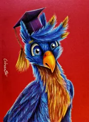 Size: 2825x3874 | Tagged: safe, artist:cahandariella, derpibooru import, gallus, gryphon, g4, bust, colored pencil drawing, graduation cap, hat, high res, image, jpeg, newbie artist training grounds, realistic, red background, simple background, solo, traditional art
