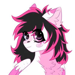 Size: 2000x2000 | Tagged: safe, artist:kutemango, derpibooru import, oc, oc:lunylin, unofficial characters only, pegasus, pony, blush lines, blush sticker, blushing, bust, chest fluff, colored belly, colored wings, colored wingtips, commission, cute, ear fluff, ear markings, eye clipping through hair, facial markings, female, fluffy, hair over eyes, heterochromia, high res, image, looking at you, mare, pink, png, reverse countershading, simple background, sketch, smiling, smiling at you, solo, two toned mane, two toned wings, white background, wings